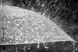 images - 2025-01-17T142715.560