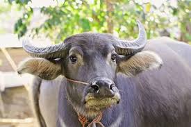 images - 2025-01-22T173117.533