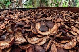 download - 2025-02-11T134046.684