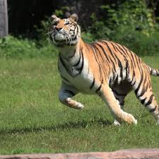 download - 2025-02-15T163651.576