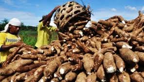 images - 2025-02-04T161810.146