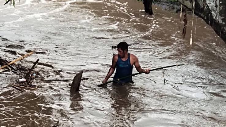 images - 2025-02-05T134917.763