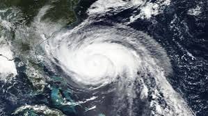 images - 2025-02-10T145335.878