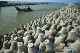 images - 2025-02-13T154202.404