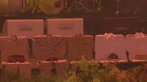 images - 2025-02-15T132936.948