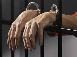 download - 2025-02-20T222926.945