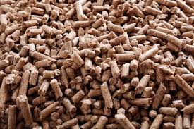 download - 2025-03-08T171827.840