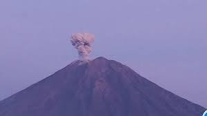 download - 2025-03-13T114042.526