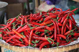 download - 2025-03-19T153629.617