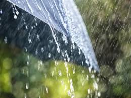 images - 2025-03-11T150933.581