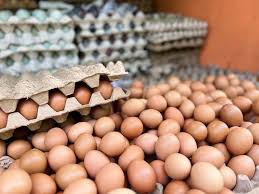 images - 2025-03-15T172802.719