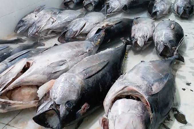 images - 2025-03-25T163621.209