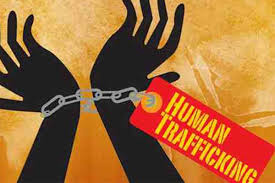 download - 2025-04-27T173144.337