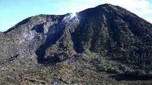 images - 2025-04-09T150457.918