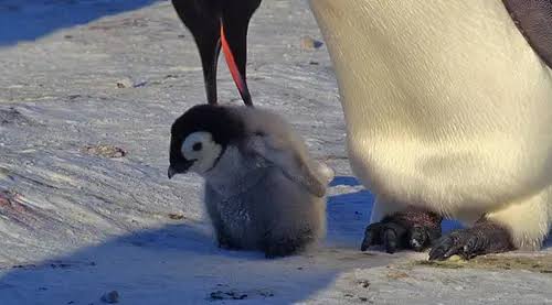 images - 2025-04-18T122657.374