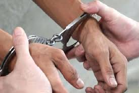 images - 2025-04-25T132203.300