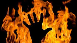 images - 2025-05-02T164834.908