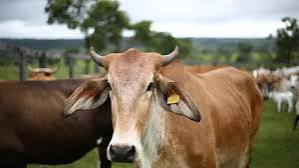 images - 2025-05-28T161808.785