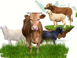 download - 2025-06-03T163711.618