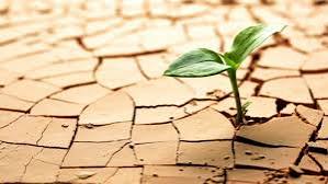 download - 2025-06-16T153835.186