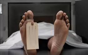 download - 2025-06-19T170049.194