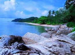 download - 2025-06-20T174110.545