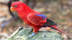 images - 2025-06-26T155140.626