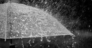 images - 2025-07-04T153646.408