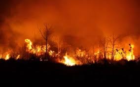 images - 2025-07-20T170325.648