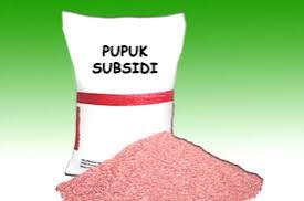 images - 2025-07-21T151228.148