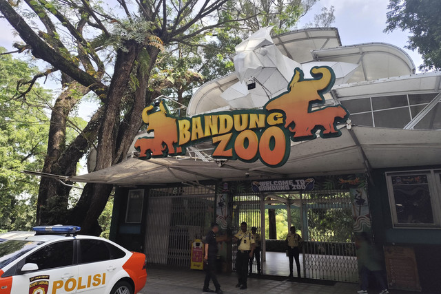 01jz7dy6fgmppj8xrvbgajdw1c