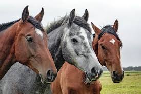 download - 2025-09-01T142920.289