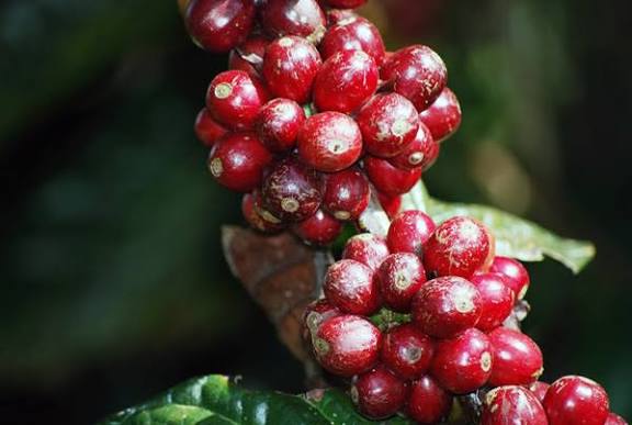 images - 2025-09-16T155300.409