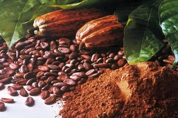 images - 2025-10-20T144817.514