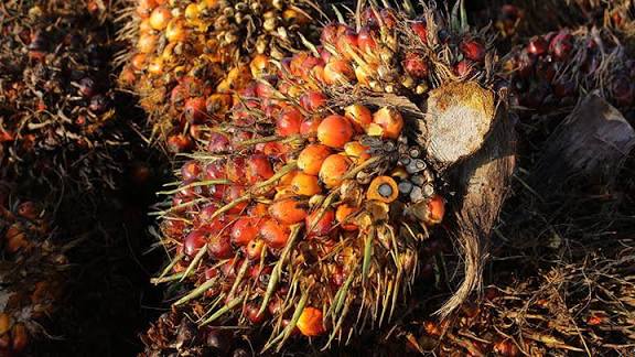 images - 2025-11-05T150126.321