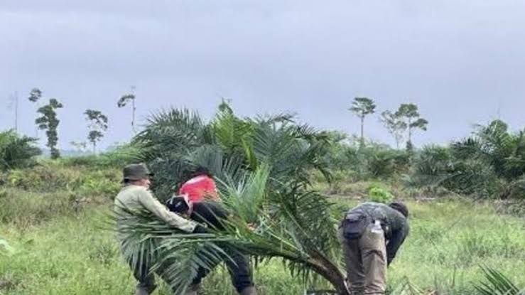 images - 2025-12-13T181542.020