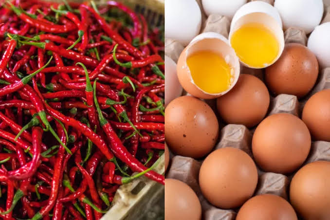 images - 2025-12-17T171820.802