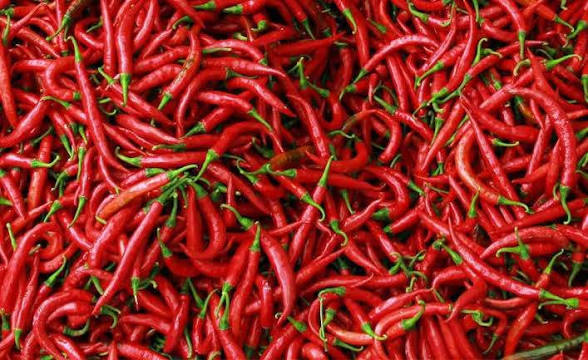 images - 2026-04-15T155405.526