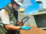 images - 2026-05-13T161511.548