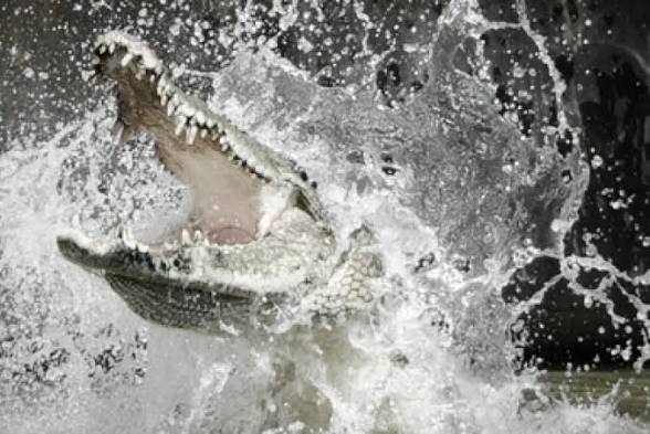 images - 2026-05-20T165425.604