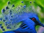 images - 2026-06-12T145822.847