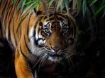 images - 2026-06-13T172127.141