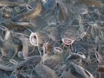 images - 2026-06-17T162311.904