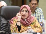 wakil-ketua-komisi-ix-dpr-ri-nihayatul-wafiroh
