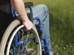 Disabilitas2