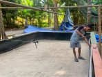 IMG-20260706-WA0065