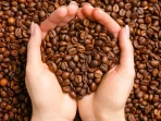 Keunggulan Kopi Premium yang Perlu Kamu Ketahui_desk.jpg