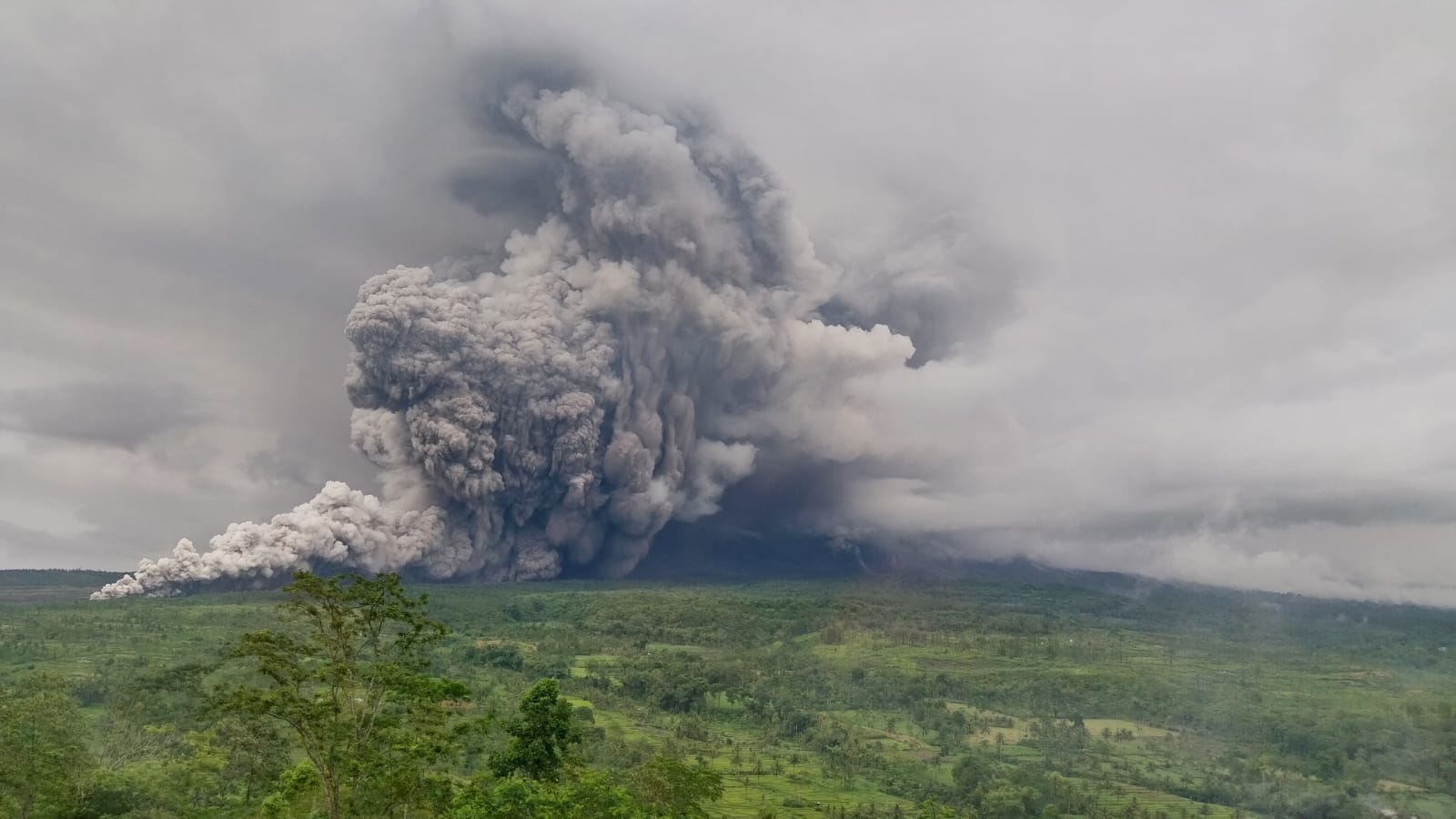 Mount_Semeru_eruption_view_on_November_19,_2025