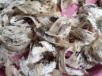 images - 2026-07-01T134251.425