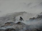 images - 2026-07-02T174426.864